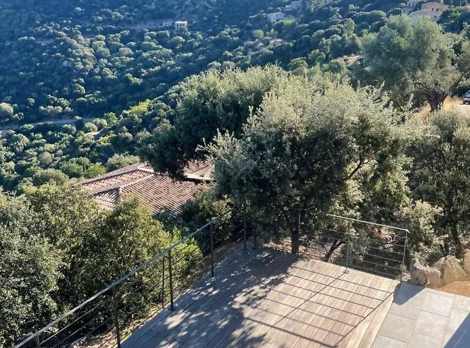 Casa Di L'alivi