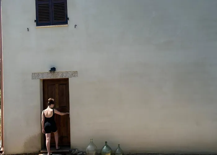 Casa Di L'alivi Vila